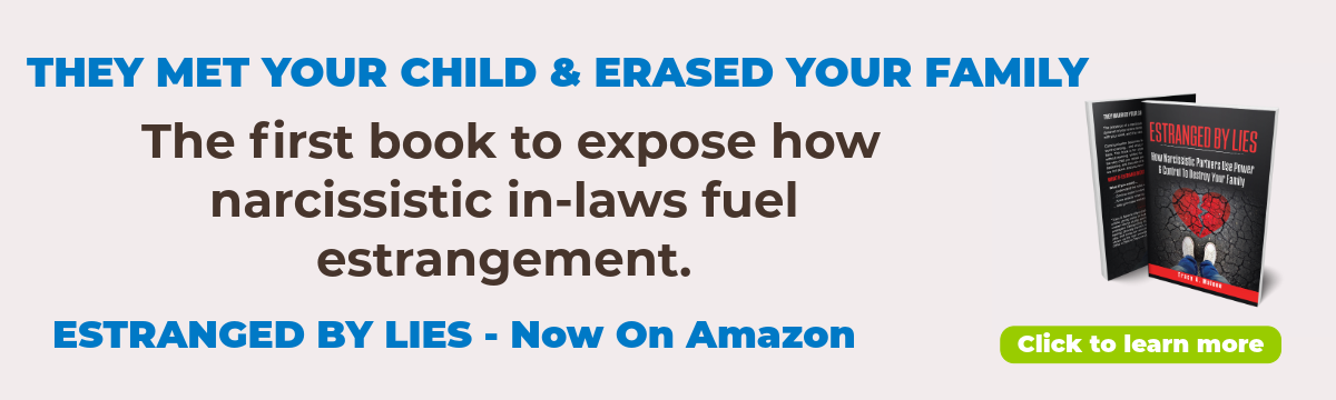 EStranged By Lies: How Narcissists Use Power and Control to destroy your family